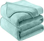 Soft Travel Size Throw for All Season Warm Fuzzy Microplush Lightweight Thermal Fleece Summer Autumn Fall Winter Spring Blankets for Bed Couch Sofa,50x60 Inches,Sage Green