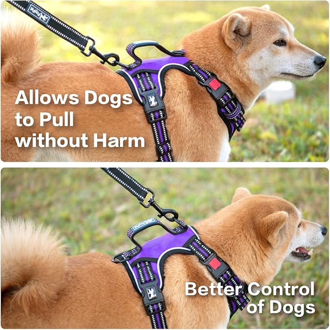 PoyPet No Pull Dog Harness, No Choke Front Clip Reflective Dog Vest with Soft Padded Vertical Handle, 3 Leash Attachments for Small Medium Large Dogs (Purple,XL)-Mewly Pet