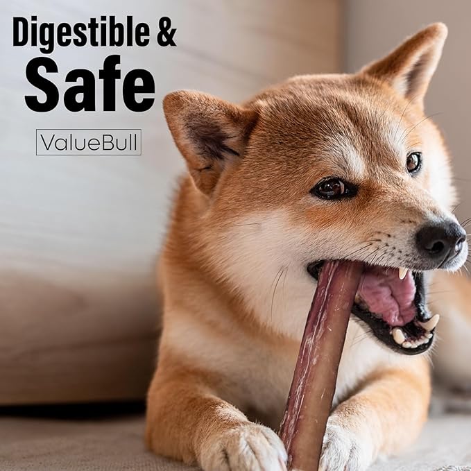 ValueBull Bully Sticks for Large Dogs, Jumbo 6 Inch, 50 Count - All Natural, Grass Fed, Single Ingredient, Long Lasting Dog Treats for Aggressive Chewers-Mewly Pet