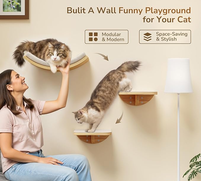Cat Wall Shelves and Cats Window Perch – Natural Wood 4-Piece Set with Foam-Padded Curved Bed and Felt Steps, Space-Saving Wall Mounted Design-Mewly Pet