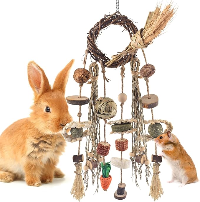 Bissap Bunny Chew Toy, Rabbits Cage Hanging Chew Toys and Treats Rattan Ring with Snacks Water Grass Wooden Block Carrot for Guinea Pigs Chinchillas Hamsters Rats and Other Small Pets Teeth Grinding-Mewly Pet