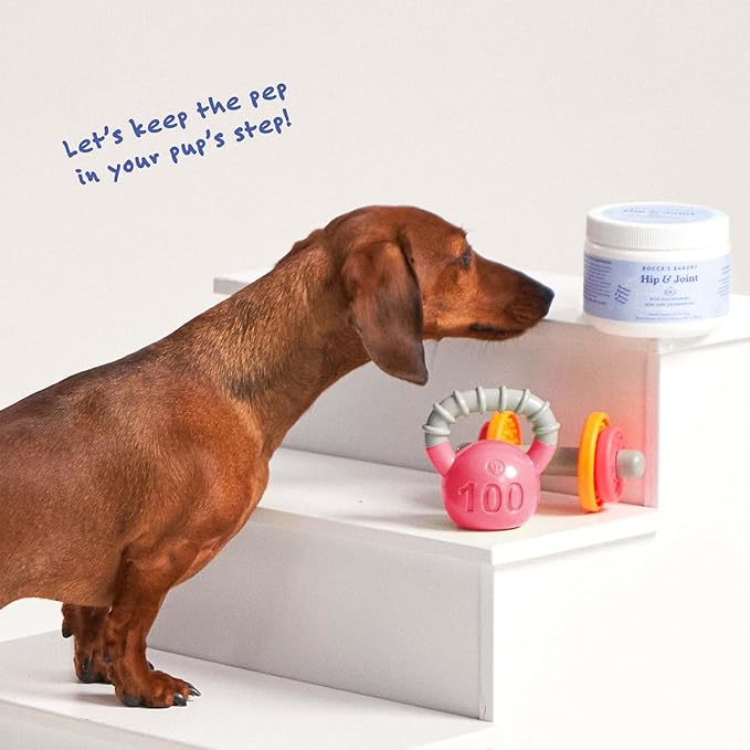 Bocce's Bakery Hip & Joint Supplement for Dogs, Daily Chews Made in The USA with Glucosamine, MSM, and Chondroitin, Supports Healthy Joints, Peanut Butter & Honey, 60 ct-Mewly Pet