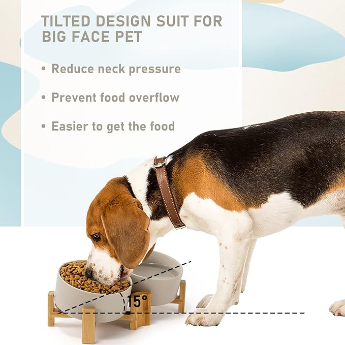 SPUNKYJUNKY 15° Slanted Ceramic Dog and Cat Bowl with Wooden Stand, Tilted Bulldog Food and Water Bowl No Slip Non-Spill for Cats Medium Dogs Big Face Pets 28.7 OZ (3.6 Cups, Grey × 2)-Mewly Pet