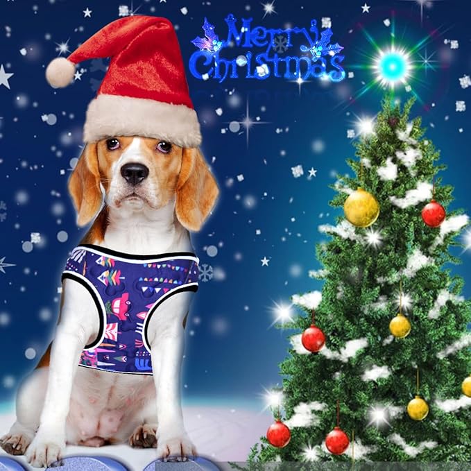 Comfort Fit Dog Harness No Pull with Adjustable Buckles Soft Padded Reflective Choke Step-in Pet Vest with Easy Control Handle for Small Medium Large Dogs & Puppies for Walking Running Training-Mewly Pet