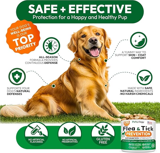 (2 Pack) Flea and Tick Prevention for Dogs Pills - 340 Chews - Natural Dog Flea & Tick Control - Oral Defense Treatment for Dogs Supplement - Vet Formulated - All Breeds & Ages - Made in USA-Mewly Pet
