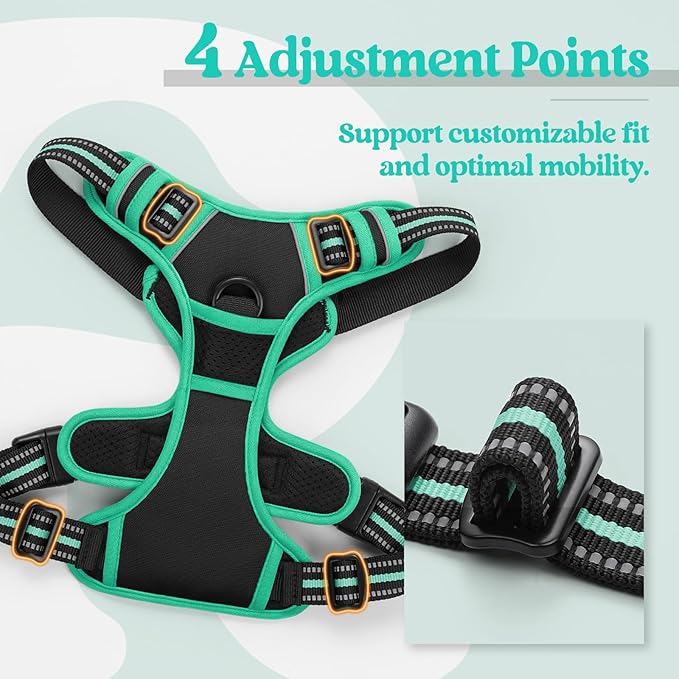 rabbitgoo Dog Harness No Pull with 2 Leash Clips, Adjustable Soft Padded, Reflective Oxford No Choke Pet Vest with Easy Control Handle for Large Dogs, Black & Turquoise, L-Mewly Pet