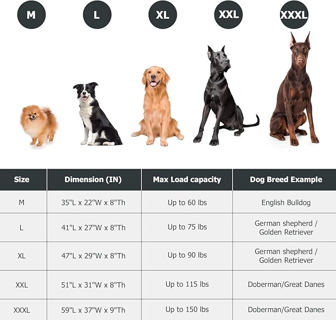 Elevated Dog Bed for Outdoor, XXXL Raised Dogs Cot with Washable Mesh, Cooling Pet Beds Chew Proof Dog Hammock, Metal Frame Lifted Platform for Training Outside Camping, 59 inch Green-Mewly Pet