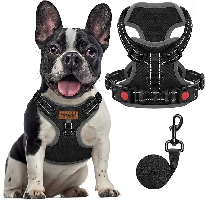 MIDOG No-Pull Dog Harness | Adjustable & Reflective Pet Harness Leash Set for Small Medium Large Dogs Walking, Training| No Choke, Front Clip, Soft Padded Vest with Easy Control Handle - Black, M-Mewly Pet