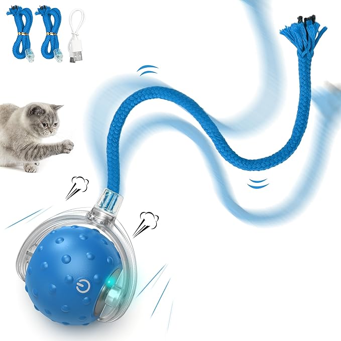Cat Toys Ball for Indoor Cats - Interactive Automatic Cat Ball Toy | Fast Rolling & Motion Activated Chirping | Hide and Seek Mouse Catching Game | Stimulates Hunting Instinct (Blue)-Mewly Pet