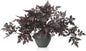 Lyrow 10 Pack Artificial Cimicifuga Plant Leaf Spray Faux Plum Cimicifuga Ramosa Leaf Branch Faux Fall Spray Silk Plants for Home Vase Wedding Garden Farmhouse Table Mantel Decor (32 Inches)