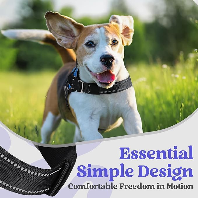 rabbitgoo Dog Harness Medium Sized, Easy On Pet Vest with One Buckle, No Pull Adjustable Service Harness with D-Ring & Handle, Reflective for Safety Walking, Training, Blue, M-Mewly Pet