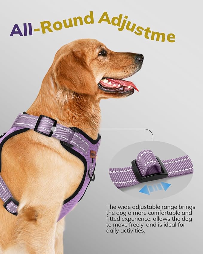 MIDOG No-Pull Dog Harness | Adjustable & Reflective Pet Harness Leash Set for Small Medium Large Dogs Walking, Training| No Choke, Front Clip, Soft Padded Vest with Easy Control Handle - Purple, L-Mewly Pet