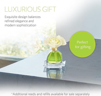 AGRARIA PetiteEssence Flower and Reed Diffuser Set, Handcrafted Sola Flower Botanical Home Fragrance, Scented Oil Diffuser Gift Set for All Occasions