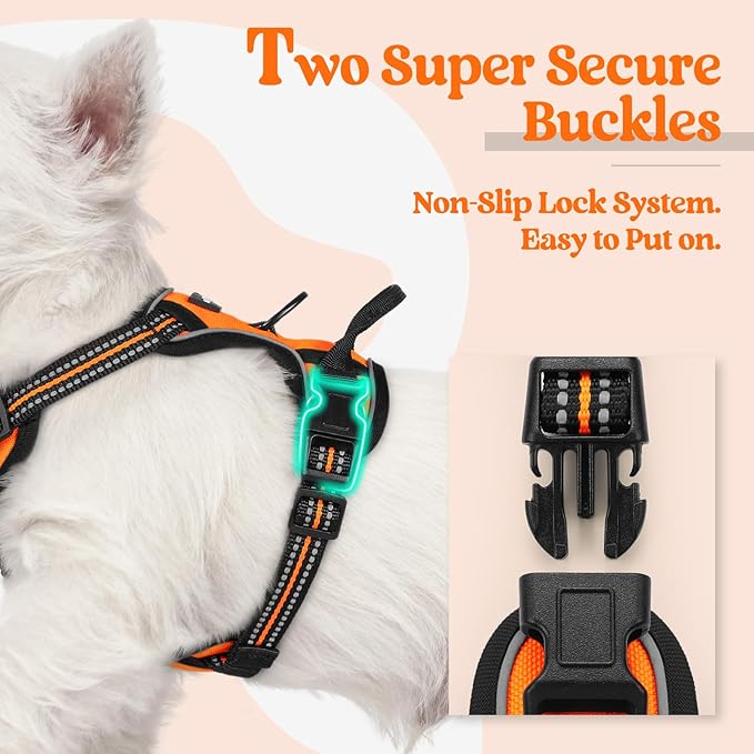 rabbitgoo Dog Harness No Pull with 2 Leash Clips, Adjustable Soft Padded, Reflective Oxford No Choke Pet Vest with Easy Control Handle for Puppy, Orange,XS-Mewly Pet