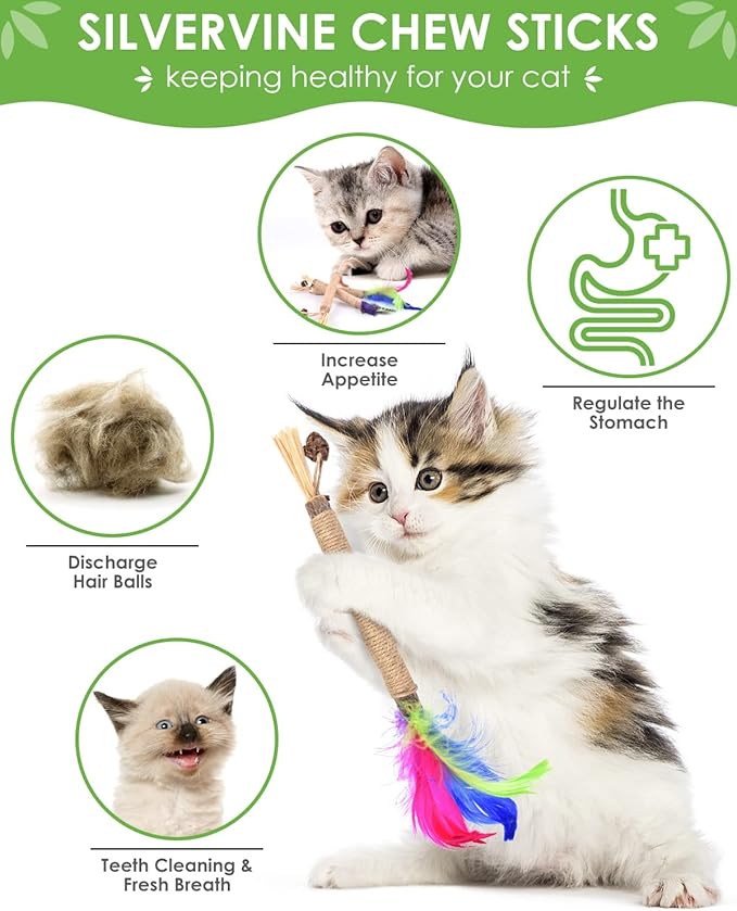 TINDTOP Silvervine Chew Sticks for Cats, Natural Catnip Chew Toys for Kittens Teeth Cleaning, Matatabi Dental Care, Increase Appetite, Calm Cat Anxiety and Stress, Cat Dental Toy (3 Pack)-Mewly Pet