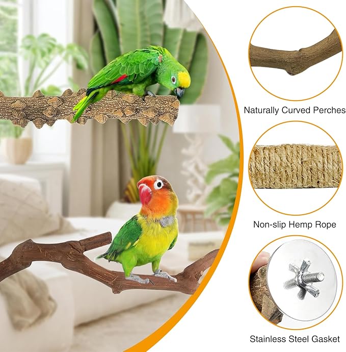 kathson 5pcs Natural Parrot Perch for Cage Wooden Bird Perches Grape Bird Stick Parakeet Climbing Standing Branches Toy Chewable Cage Accessories for Small Budgies Cockatiels Lovebirds-Mewly Pet