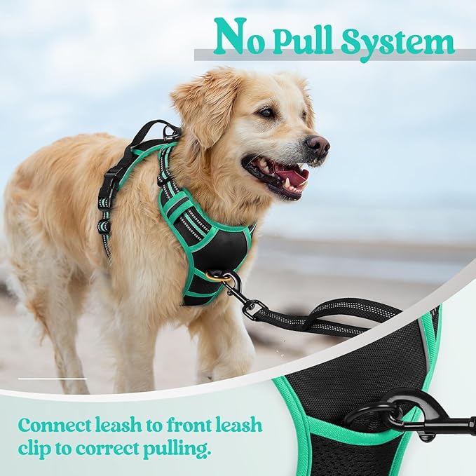 rabbitgoo Dog Harness No Pull with 2 Leash Clips, Adjustable Soft Padded, Reflective Oxford No Choke Pet Vest with Easy Control Handle for Large Dogs, Black & Turquoise, XL-Mewly Pet