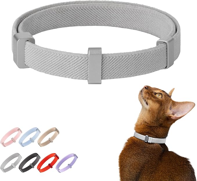 Safety Cat Collar Pro - U.S. IDA Gold Awarding Design, Elastic Quick Release Cat Collar with Buckle Non Breakaway - Lightweight for Kitten All Small Large Cats (Glacier Silver, S 5.9-11.8")-Mewly Pet