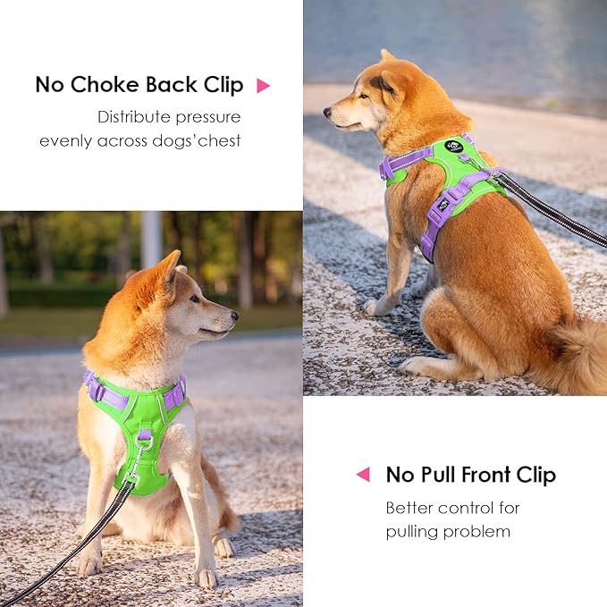 PHOEPET No Pull Dog Harness, Unique Colors Reflective Adjustable Dog Vest, with Soft Training Handle Metal Clips for Small Medium Large Dogs (Green Base & Purple Straps,S)-Mewly Pet