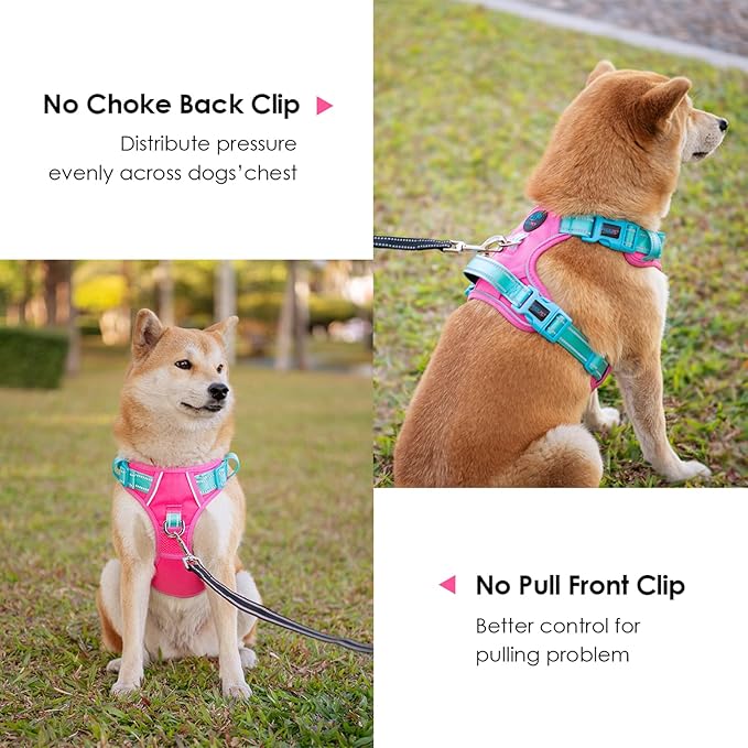 PHOEPET No Pull Dog Harness, Unique Colors Reflective Adjustable Dog Vest, with Soft Training Handle Metal Clips for Small Medium Large Dogs (Pink Base & Green Straps,L)-Mewly Pet