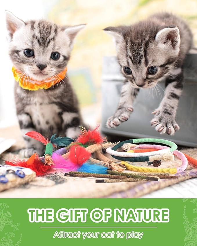 TINDTOP Cat Chew Toys, 12 Pack Silvervine Chew Sticks with 2 Pack Chew Ropes for Kittens Teeth Cleaning, Increase Appetite, Aggressive Chewers Cat Dental Toy-Mewly Pet