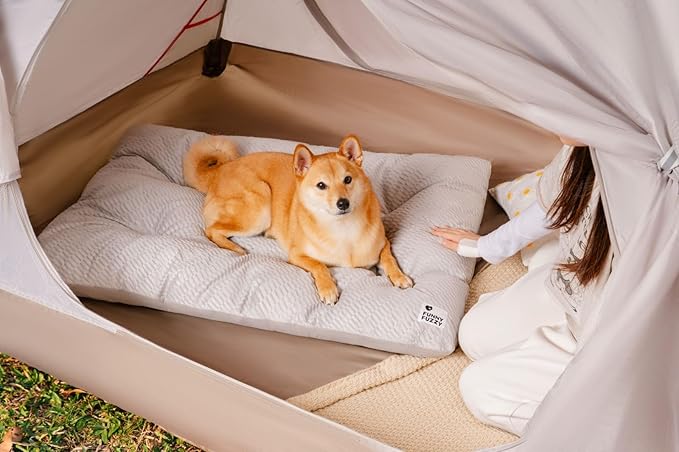 FUNNY FUZZY Washable Dog Bed,Reversible Plush Dog Crate Mat, Soft Fluffy Kennel Pad,Pet Sleeping Mattress for Large,Jumbo,Medium Sized Dogs Breeds,Indoor Cats,41.7" × 28.3", Light Grey-Mewly Pet