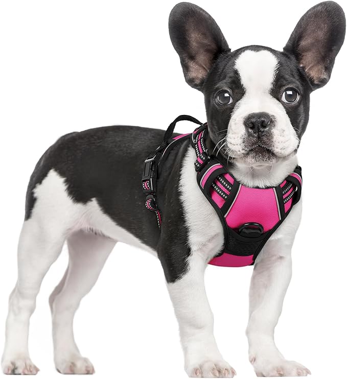 rabbitgoo Dog Harness No Pull with 2 Leash Clips, Adjustable Soft Padded, Reflective Oxford No Choke Pet Vest with Easy Control Handle for Large Dogs, Hot Pink, S-Mewly Pet