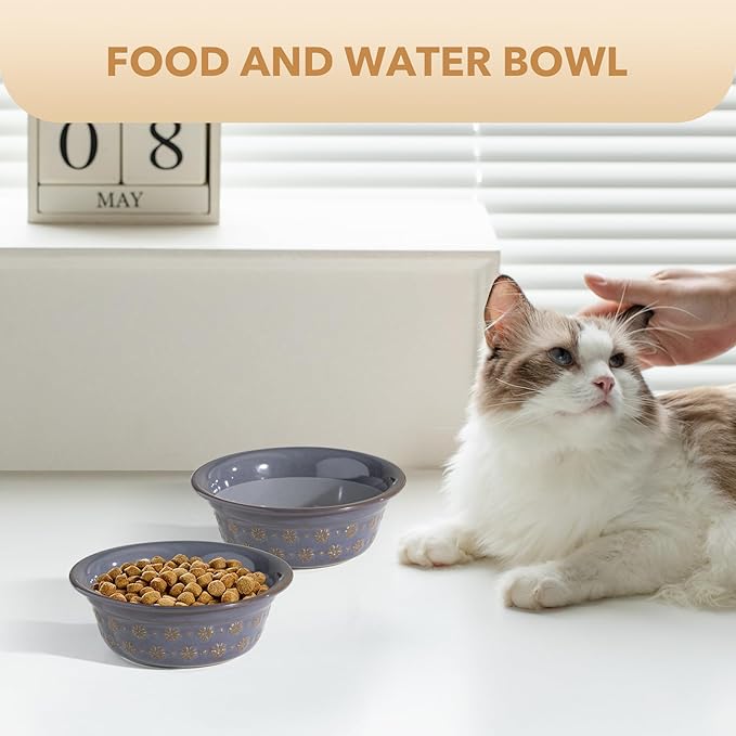 5.5inch Ceramic Set of 2 Dog and Cat Bowls, 2pcs Basic Food and Water Dishes for Puppy, Kitty, Wide Opening Rounded Edge (2 Bowls, Reactived Glaze -Grey)-Mewly Pet