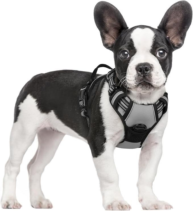 rabbitgoo Dog Harness No Pull with 2 Leash Clips, Adjustable Soft Padded, Reflective Oxford No Choke Pet Vest with Easy Control Handle for Small Dogs, Grey, S-Mewly Pet
