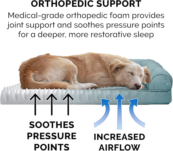 Furhaven Orthopedic Dog Bed for Large/Medium Dogs w/ Removable Bolsters & Washable Cover, For Dogs Up to 55 lbs - Plush & Suede Sofa - Deep Pool, Large-Mewly Pet