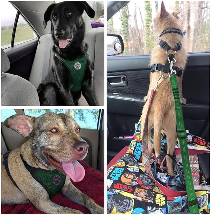 Lukovee Dog Seat Belt for Car, Adjustable Dog Car Harness for Large Medium Small Dogs, Soft Padded & Breathable Mesh Dog Seatbelt with Car Vehicle Connector Strap (Green,Large)-Mewly Pet