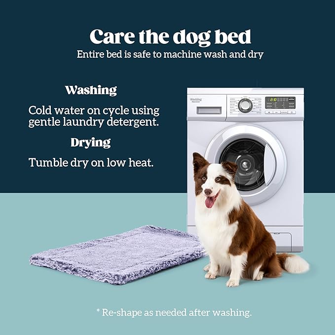 Stoutwool Indestructible Dog Bed - Fluffy Chew Proof Dog Crate Pad - Tough Kennel Pad for Aggressive Chewers - Washable, Ideal for Large Breeds & Fits 36-Inch Crate - 35"x22", Jacaranda-Mewly Pet