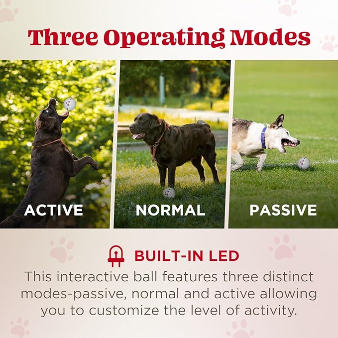 Wicked Ball - Smart Interactive Dog Ball for Solo Play - Electronic Self-Moving Dog Toys for Boredom - Rechargeable, Motion Activated - 35"-Mewly Pet