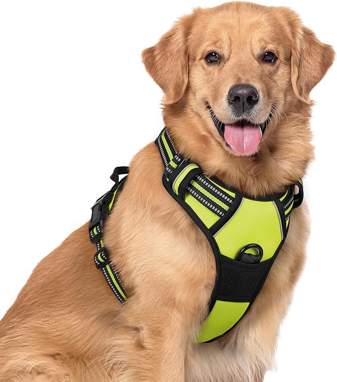rabbitgoo Dog Harness No Pull with 2 Leash Clips, Adjustable Soft Padded, Reflective Oxford No Choke Pet Vest with Easy Control Handle for Large Dogs, Green, XL-Mewly Pet
