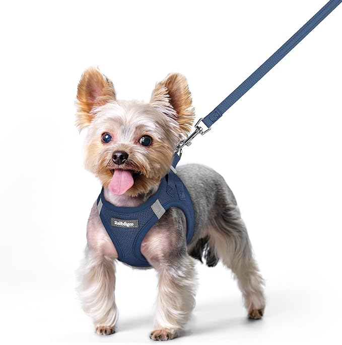 rabbitgoo Dog Harness Small Sized and Leash Set, Step in Soft Light Puppy Vest, Breathable Mesh Pet Harness, Reflective for Safe Outdoor Walking, Navy Blue XS-Mewly Pet