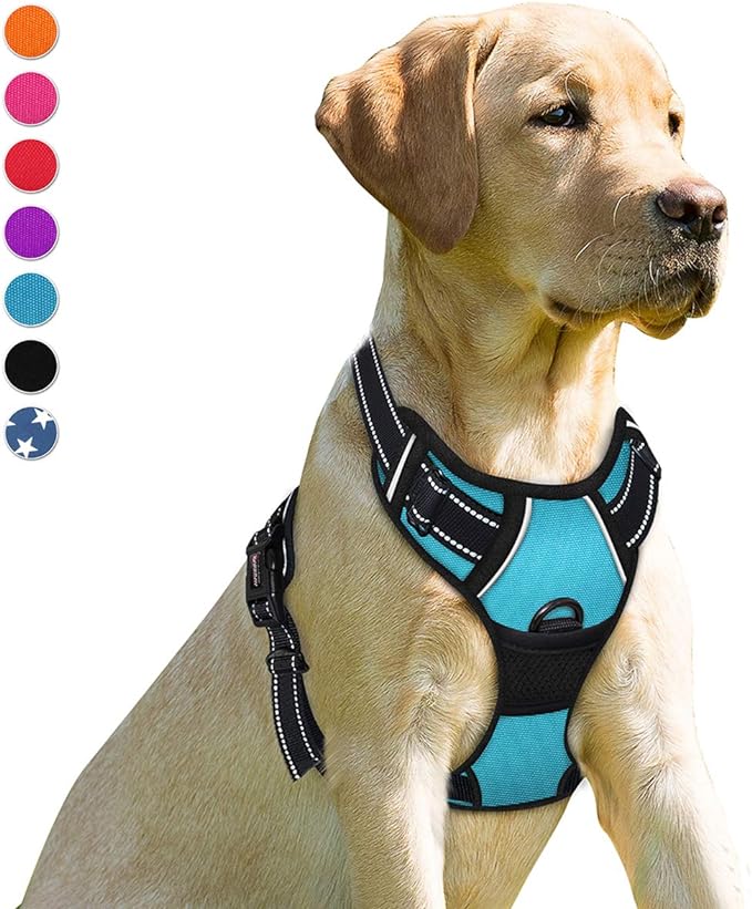 BARKBAY No Pull Dog Harness Front Clip Heavy Duty Reflective Easy Control Handle for Large Dog Walking(Blue,XL)-Mewly Pet