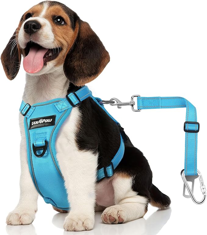 Dog Seat Belt Harness for Car, Dog Car Harness Adjustable Mesh Breathable & Dogs Seatbelt Safety Tether with Elastic Bungee for Small Medium Large Pets(Blue, S)-Mewly Pet