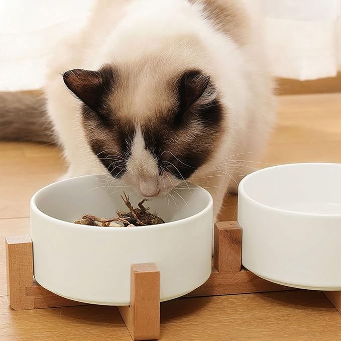 Petygooing Dog Bowls,White Ceramic Cat Dog Bowl Set with Wood Stand for Food and Water Feeder, Modern Pet Dish Set for Cats and Small Size Dogs Puppy (13.5OZ/5.1 in)-Mewly Pet