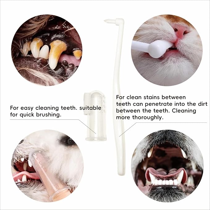 Dental Care for Pets - Dog Tooth Brushing Kit, Dog Toothpaste, Cat Toothbrush kit, Pet chew Toys, Dog Teeth Cleaning, 5 in 1 KIT for Large and Small Pets, Pets are Durable in Use !-Mewly Pet
