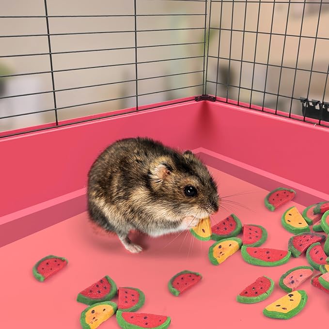 KATUMO Rabbit Chew Toys, 200g / 7oz Mixed Natural Timothy Hay Beet Pumpkin Carrot Chew Toys and Treats for Hamster, Chinchilla, Guinea Pig, Rabbit, Small Animals Molar Snacks-Mewly Pet