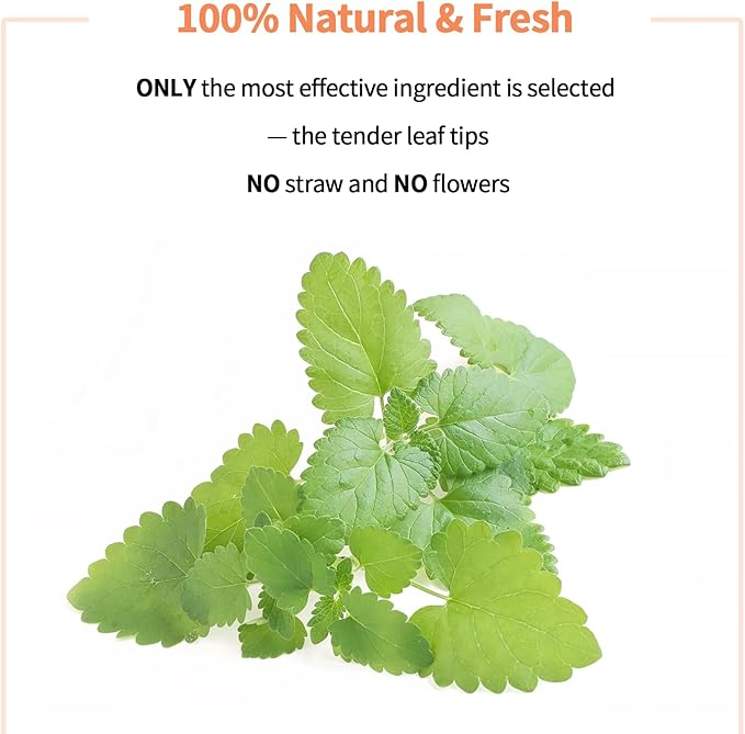 Premium Catnip for Cats & Kittens – Cold-Processed, High Potency Nepetalactone, 100% Pure Leaf-Only Catnip for Toys, Scratchers, Refills, Stimulates Play & Protects Furniture - 10g-Mewly Pet