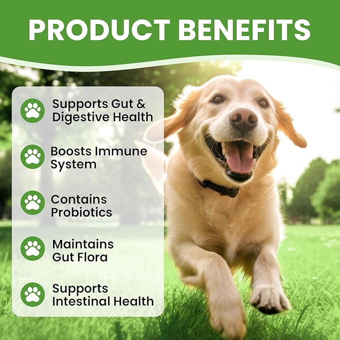 Probiotics for Dogs - Dog Probiotics with 5 Enzymes & 4 Prebiotics for Itchy Skin, Pet Probiotics lab for Digestion & Gut Support, Helps Diarrhea, Yeast Infection, Allergies & Immune System -180 Chews-Mewly Pet