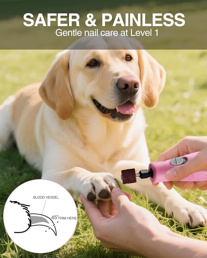 WORKPRO 6-Speed Dog Nail Grinder, Pet Nail Grinder for Small, Medium, and Large Dogs and Cats, 70 Accessories Rotary Tool with Type-C Charging Cable and Storage Bag for Sanding, Carving, and Polishing-Mewly Pet