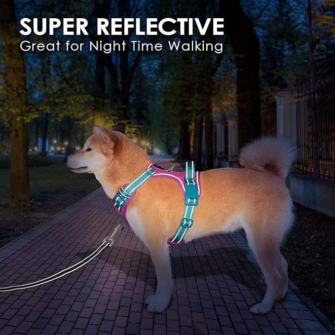 PHOEPET No Pull Dog Harness, Unique Colors Reflective Adjustable Dog Vest, with Soft Training Handle Metal Clips for Small Medium Large Dogs (Purple Base & Green Straps,XS)-Mewly Pet