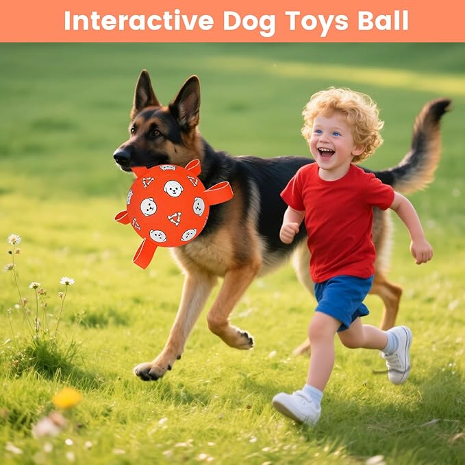 Dog Balls Toy, Durable Soccer Ball with Straps, Interactive Dog Toys, Water Fetch Ball for Tug of War, Herding, Dog Toys to Keep Them Busy – Dog Birthday Gift for Medium Large, 8 Inch-Mewly Pet