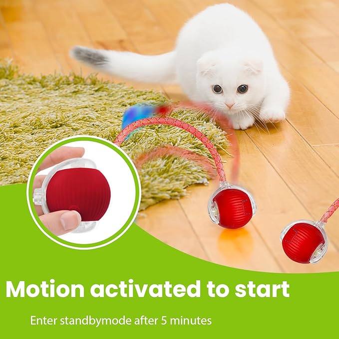 Cat Toy, Interactive Cat Toy, Cat Toys for Indoor Cats with 2 Tails, 3 Modes Rechargeable Cat Enrichment Toys for Small/Medium/Large Cats to Keep Them Busy-Mewly Pet