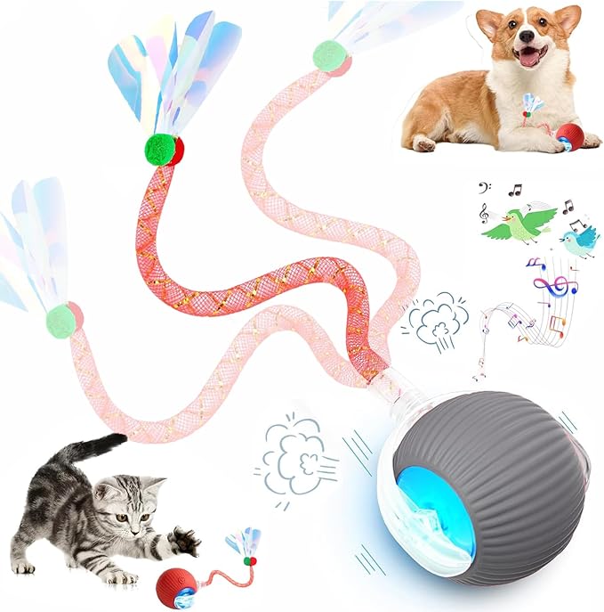 Speed 2.0 Tail Interactive Cat Toys for Indoor Cats, Chirping & Motion Activate Ca t Toy, Smart Kitten Rolling Ball Moving Ball Toys, Rechargeable Dog Cat Bal l for Enrichment Exercise (Grey)-Mewly Pet