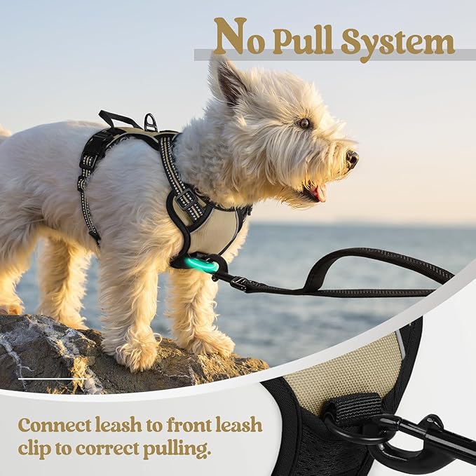 rabbitgoo Dog Harness No Pull with 2 Leash Clips, Adjustable Soft Padded, Reflective Oxford No Choke Pet Vest with Easy Control Handle for Puppy, Beige, XS-Mewly Pet