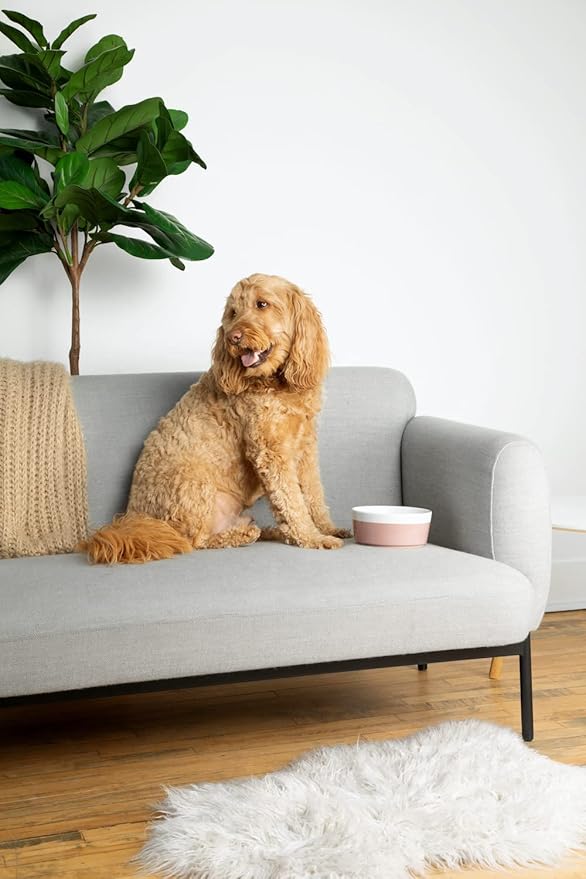 Waggo Dipper Ceramic Dog Bowl for Small and Large Breeds - Heavyweight and Durable Pet Food and Water Dish Crock, Dishwasher Safe, Modern (Teracotta, Medium)-Mewly Pet