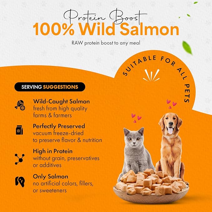 Freeze-Dried Salmon Treats for Cats & Dogs – 100% Wild Caught, Single Ingredient, High-Protein, Healthy Snack – No Additives or Preservatives – 2.6oz - Inspected & Tested in USA-Mewly Pet